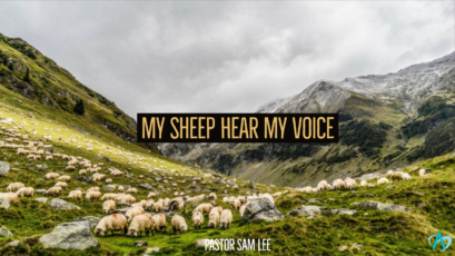 My Sheep Hear My Voice