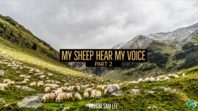 My Sheep Hear My Voice – Part 2