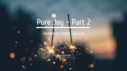 Pure Joy – Part 2