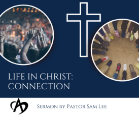 Life in Christ: Connection