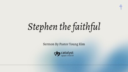 Stephen the faithful