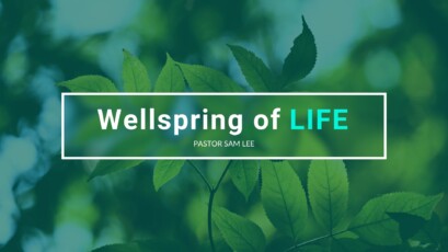 Wellspring of Life